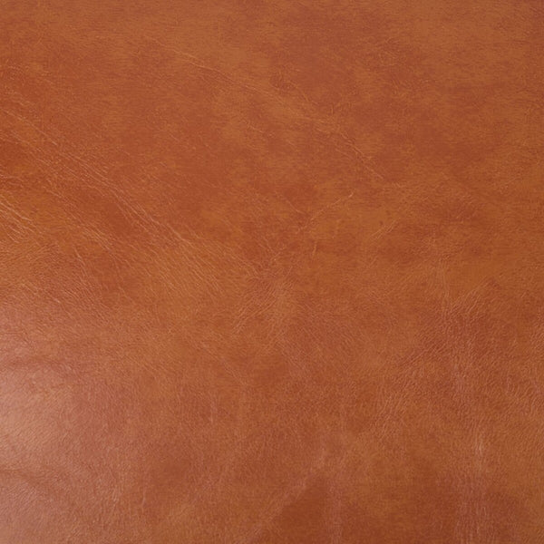 Safavieh Emyr Arm Chair Cognac ACH4007A