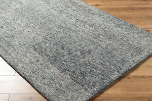 Surya Alicia 2' X 3' Handmade Eco-friendly Rug - Luxurious Softness, Unique Texture, Perfect For Any Space Ivory Wool,Recycled Pet Yarn Acs2300-23