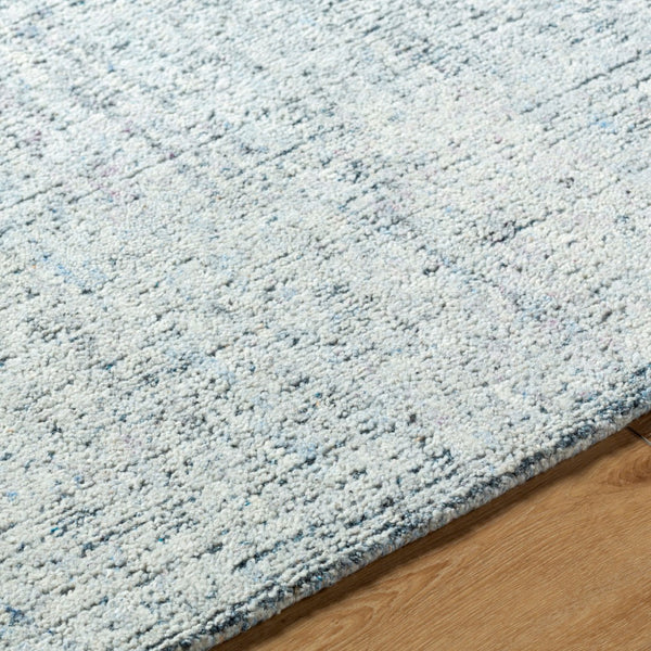 Surya Alicia 2' X 3' Handmade Eco-friendly Rug - Luxurious Softness, Unique Texture, Perfect For Any Space Ivory Wool,Recycled Pet Yarn Acs2301-23