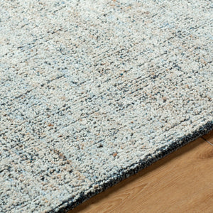 Surya Alicia 2' X 3' Handmade Eco-friendly Rug - Luxurious Softness, Unique Texture, Perfect For Any Space Taupe Wool,Recycled Pet Yarn Acs2302-23