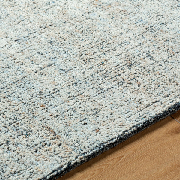 Surya Alicia 2' X 3' Handmade Eco-friendly Rug - Luxurious Softness, Unique Texture, Perfect For Any Space Taupe Wool,Recycled Pet Yarn Acs2302-23