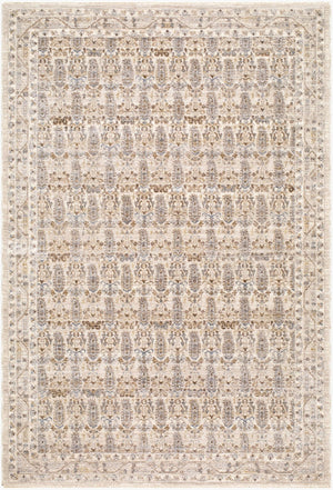 Livabliss Arda Traditional Polyester Area Rug Woven in Turkey with Fringe for Formal Living Rooms Medium Gray, Ta 10' x 13'11" ACZ2310-101311