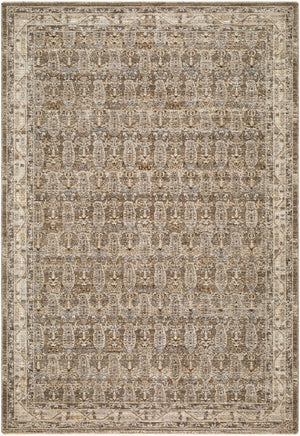 Livabliss Arda Machine Woven Polyester Area Rug with Oriental Motif and Fringe for Living Rooms Charcoal, Taupe 10' x 13'11" ACZ2311-101311