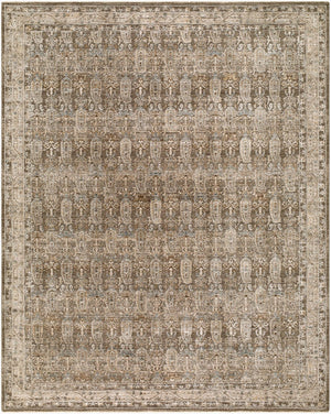 Livabliss Arda Machine Woven Polyester Area Rug with Oriental Motif and Fringe for Living Rooms Charcoal, Taupe 7'10" x 10'2" ACZ2311-710102