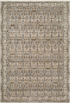 Livabliss Arda Traditional Fringe Area Rug Turkey Woven Polyester Living Room Dining Accent Medium Gray, Ta 2' x 2'11" ACZ2312-2211
