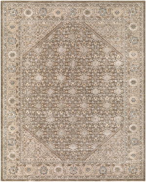 Livabliss Arda Traditional Fringe Area Rug Machine Woven Polyester Plush Living Room Floor Charcoal, Taupe 7'10" x 10'2" ACZ2313-710102