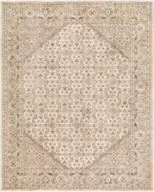 Livabliss Arda Turkish Machine Woven Medallion Area Rug with Fringe for Living and Dining Rooms Light Gray, Tau 7'10" x 10'2" ACZ2315-710102