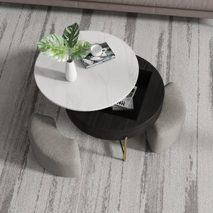 English Elm Vita Modern 31.5" Round Lift-Top Coffee Table Set with Iron Legs and Storage Shelves, Stylish Black,Light beige B341S00043