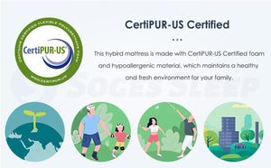 English Elm Queen Size Mattress - 12-Inch Hybrid Design With Pocketed Innersprings For Ultimate Comfort & Support W2889P310461-GIGA