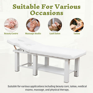 English Elm Spa Salon Massage Table Steel Frame Pu Leather Adjustable Backrest Bottom Shelf Storage W1422P382936