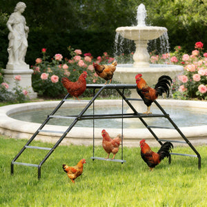 English Elm Chicken Coop Activity Station with 10 Perches Swing Platform and Steel Frame T3971P455214