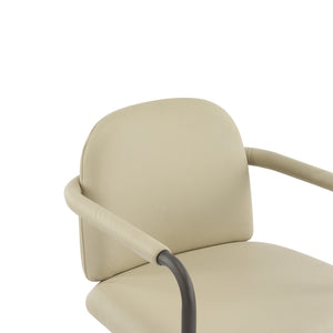 English Elm Christopher Knight Home® - Dinning modern iron-frame dining chair set of 2 with durable fabric seats, compact, stylish and sturdy Espresso,khaki N771P247180V