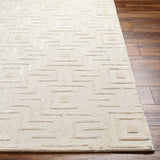 Addison ADD-2300 9' x 12' Handmade Rug ADD2300-912  Ivory Surya