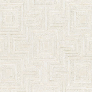 Addison ADD-2300 9' x 12' Handmade Rug ADD2300-912  Ivory Surya