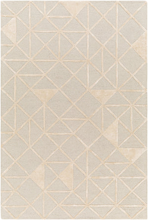 Addison ADD-2302 9' x 12' Handmade Rug ADD2302-912  Pale Blue, Light Beige Surya