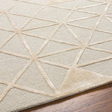 Addison ADD-2302 9' x 12' Handmade Rug ADD2302-912  Pale Blue, Light Beige Surya