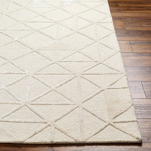Addison ADD-2303 9' x 12' Handmade Rug ADD2303-912  Beige Surya