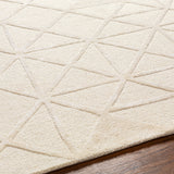 Addison ADD-2303 9' x 12' Handmade Rug ADD2303-912  Beige Surya