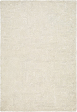 Surya Addison 2' X 3' Hand-tufted Viscose & Wool Rug – Luxurious, Durable, Modern Home Décor Accent! Ivory Wool,Viscose Add2305-23