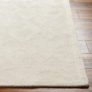 Addison ADD-2305 9' x 12' Handmade Rug ADD2305-912  Ivory Surya