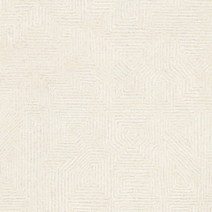 Addison ADD-2305 9' x 12' Handmade Rug ADD2305-912  Ivory Surya
