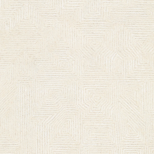 Addison ADD-2305 9' x 12' Handmade Rug ADD2305-912  Ivory Surya