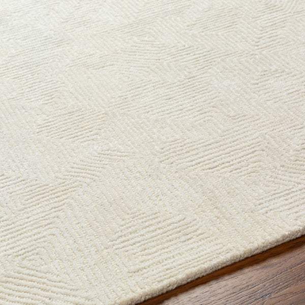 Surya Addison 2' X 3' Hand-tufted Viscose & Wool Rug – Luxurious, Durable, Modern Home Décor Accent! Ivory Wool,Viscose Add2305-23