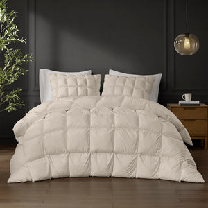 JLA Home Madison Park - Overfilled Plush Down Alternative Comforter — Cloud-Like Loft, OEKO-TEX, Zipper Closure, Machine Washable 90 L x 90 W x 1.5H MP10-8444