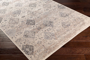 Livabliss Amadeo Traditional Runner Rug Machine Woven Hallway Accent in Polypropylene Blend ADO1018-24710