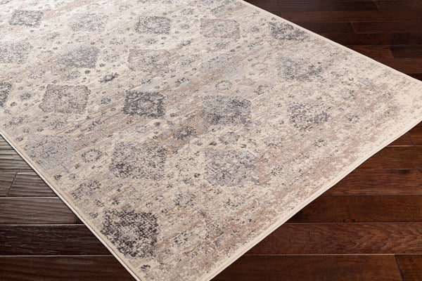 Livabliss Amadeo Traditional Runner Rug Machine Woven Hallway Accent in Polypropylene Blend ADO1018-24710