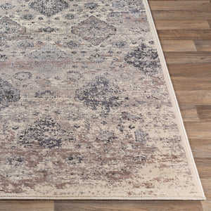 Livabliss Amadeo Traditional Runner Rug Machine Woven Hallway Accent in Polypropylene Blend ADO1018-24710