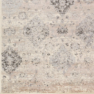 Livabliss Amadeo Traditional Runner Rug Machine Woven Hallway Accent in Polypropylene Blend ADO1018-24710