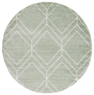 Safavieh Adirondack 241 Power Loomed  Rug ADR241Y-222