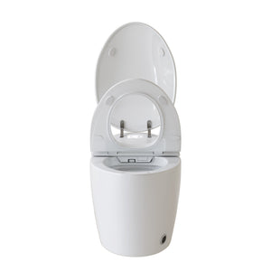 English Elm Unique Smart One Piece Toilet Bidet Heated Seat Auto Flush Warm Air Dryer Spa W3133P384811