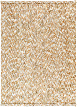 Artesia AEA-2301 9' x 12' Handmade Rug AEA2301-912  Tan, Natural, Pearl, Camel, Desert Tan Surya