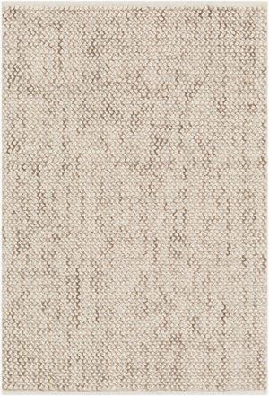 Surya Avera 2' X 3' Handmade Scandinavian Modern Rug - Luxurious Viscose And Wool Blend, Easy Care! Beige Wool,Viscose Aer1002-23