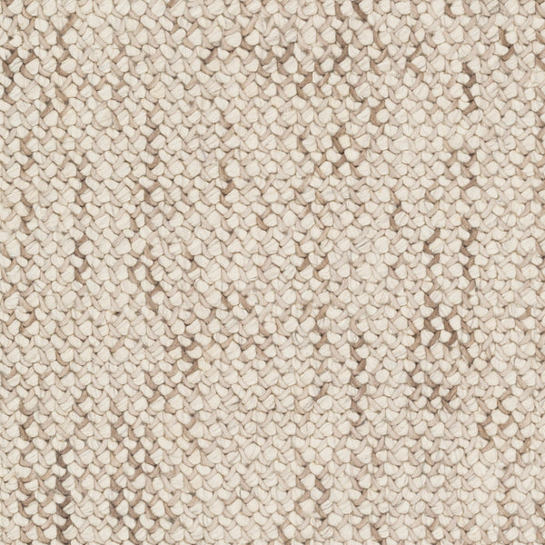 Avera AER-1002 5' x 7'6" Handmade Rug AER1002-576  Taupe, Ivory Surya