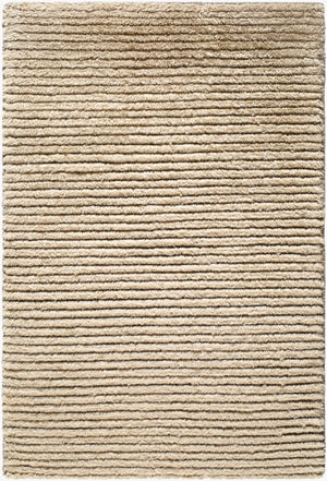 Surya Azure Hand-knotted Cashmere Wool Area Rug Scandinavian Modern Living Room Accent 9' x 12' Rectangle AEZ2301-912