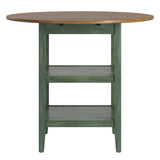 Homelegance By Top-Line Theordore Antique Finish 2 Side Drop Leaf Round Counter Height Table Sage Rubberwood