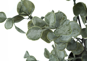 English Elm Artificial Eucalyptus Floor Plant 44" Tall in Sleek Black Pot with 1440 Lifelike Leaves, No Care Needed Green 37 L x 7 W x 7 H B2710P220048
