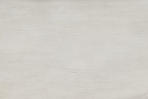 OSP Home Furnishings Barton Desk in White Wash finish  White Wash