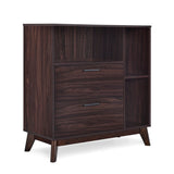 Christopher Knight Home® - Noble House - Rattler Mid-Century Modern 2 Drawer Cabinet