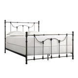 Homelegance By Top-Line Roshan Victorian Iron Metal Bed Dark Bronze Metal