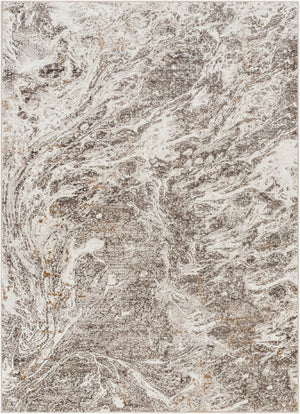 Livabliss Allegro Plus Machine Woven Polyester Area Rug for Modern Living and Dining Spaces Light Gray, Cha 12' x 15' AGP2300-1215