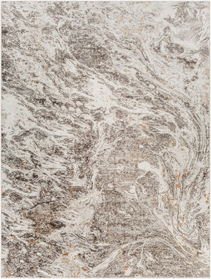 Livabliss Allegro Plus Machine Woven Polyester Area Rug for Modern Living and Dining Spaces Light Gray, Cha 7'10" x 10'2" AGP2300-710103