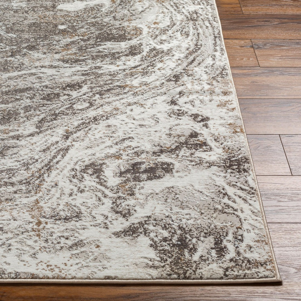 Livabliss Allegro Plus Machine Woven Polyester Area Rug for Modern Living and Dining Spaces Light Gray, Cha 12' x 15' AGP2300-1215