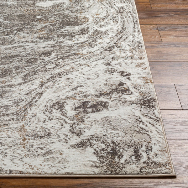 Livabliss Allegro Plus Machine Woven Polyester Area Rug for Modern Living and Dining Spaces Light Gray, Cha 12' x 15' AGP2300-1215