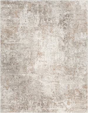 Livabliss Allegro Plus Contemporary Polyester Area Rug Woven in Turkey for Large Living Spaces Ivory, Light Gr 7'10" x 10'2" AGP2302-710103