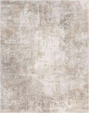 Livabliss Abstract Floral Accent Pillow - Modern Design To Revitalize Your Home Decor With Durable Charm Ivory,Light Gray,Medium Gray,Amber Polyester Agp2302-710103