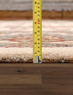 Pasargad Home Agra Collection Hand-knotted Wool Area Rug - Luxurious Ivory Design, 8'11" X 12'0"   Hs-145 Ivory 9x12